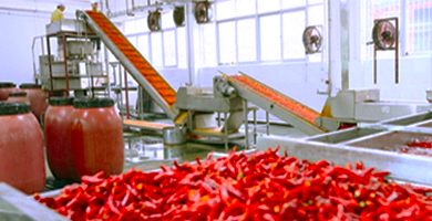 食品加工和包裝機械展覽會，調味品、添加劑及糧油加工,青島食品機械展,藍博食品機械展,青島藍博國際會展有限公司,藍博會展